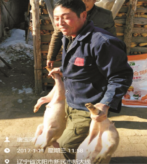 美高梅MGM1888保育料（0101H）的实证案例一