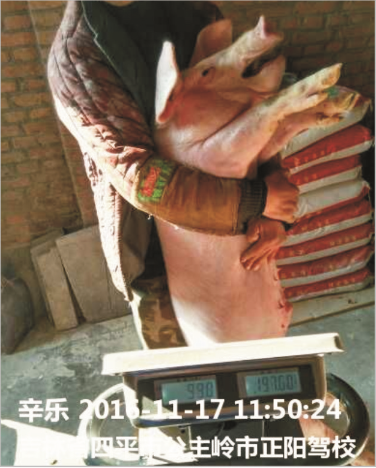 美高梅MGM1888保育料（Z101）的实证案例